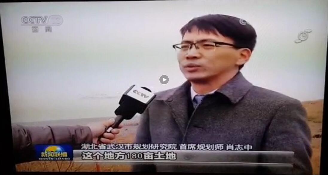 央视新闻联播聚焦武汉：为生态“留白”，南岸嘴17年未开发